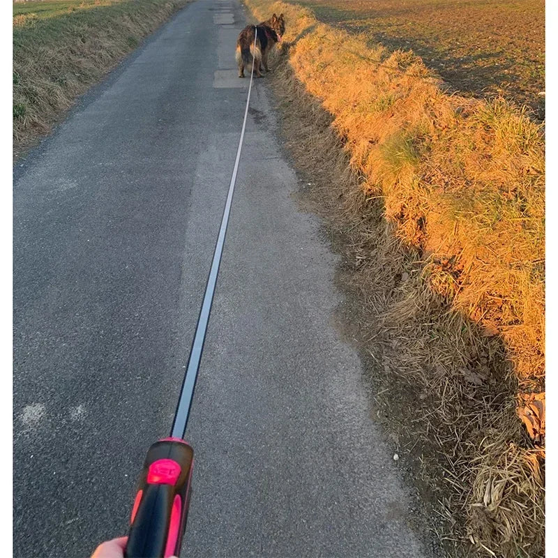 "Correa Retráctil para Perros 3m, 5m, 8m – Ajustable y Resistente para Caminatas y Senderismo"